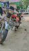 QIpal 80 cc 65+ mailage